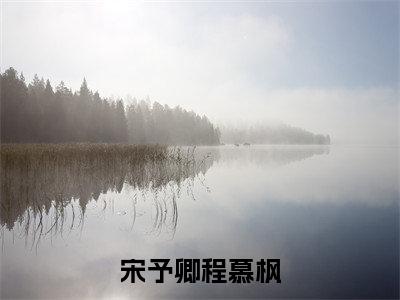 宋予卿程慕枫（程慕枫宋予卿）全文免费阅读无弹窗大结局_（程慕枫宋予卿免费阅读全文大结局)最新章节列表_笔趣阁（宋予卿程慕枫）