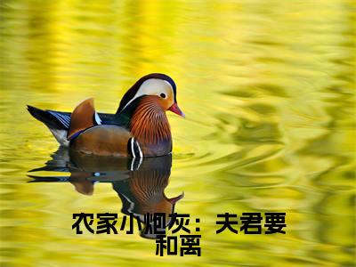 农家小炮灰：夫君要和离小说:（农家小炮灰：夫君要和离）全文免费阅读无弹窗大结局_许静小说:农家小炮灰：夫君要和离最新章节列表_笔趣阁（许静）