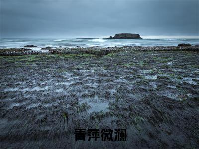 青萍微澜(江彧黎姝)免费全文阅读小说_（青萍微澜）江彧黎姝最新章节列表-笔趣阁（青萍微澜）