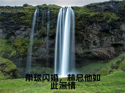 带球闪婚，林总他如此深情小说(林见阳姜芸)全文免费阅读无弹窗_带球闪婚，林总他如此深情小说全文免费阅读)林见阳姜芸最新章节列表笔趣阁（林见阳姜芸）