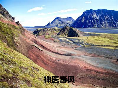 神医毒凤小说（萧夜白沈墨染）精彩免费小说_神医毒凤全文免费阅读无弹窗大结局笔趣阁