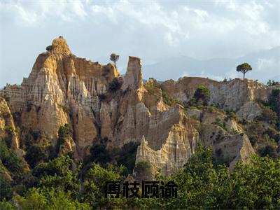顾谕傅枝全文（傅枝顾谕）全文免费阅读无弹窗大结局_顾谕傅枝免费最新章节列表_笔趣阁（傅枝顾谕）