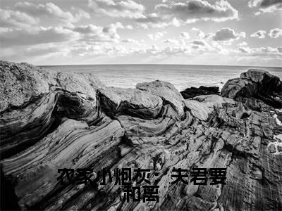 许静（农家小炮灰：夫君要和离）火热新书无弹窗大结局_（许静）农家小炮灰：夫君要和离最新章节列表_笔趣阁