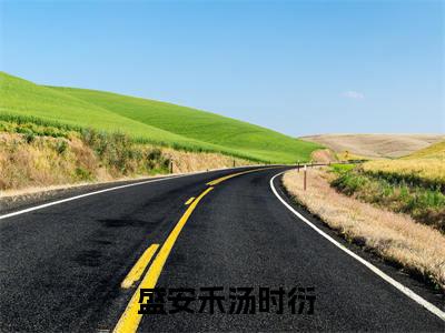 我，恶毒炮灰，开局怒撕离婚协议盛安禾汤时衍 盛安禾汤时衍完整版全文在线赏析- 盛安禾汤时衍全文在线阅读