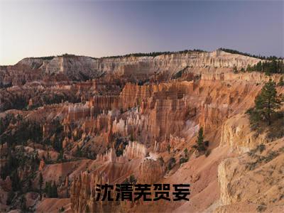 沈清芜贺妄(贺妄沈清芜)免费全文阅读小说_（沈清芜贺妄）贺妄沈清芜最新章节列表-笔趣阁（沈清芜贺妄）