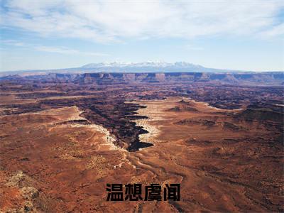 虞闻温想小说（温想虞闻）全文免费读无弹窗大结局_虞闻温想小说免费阅读-笔趣阁（温想虞闻）