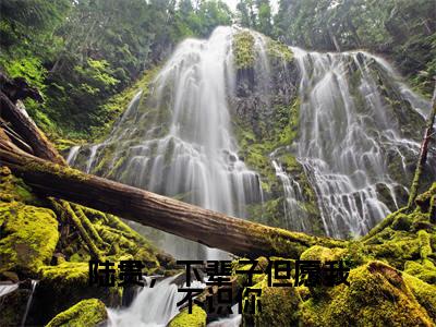 盛惜陆贯（陆贯，下辈子但愿我不识你）小说在线阅读-最新小说陆贯，下辈子但愿我不识你（盛惜陆贯）全文阅读