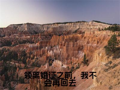顾予墨姜雪小说（领离婚证之前，我不会再回去小说）全文免费阅读无弹窗大结局_(顾予墨姜雪小说免费阅读)领离婚证之前，我不会再回去小说无弹窗最新章节列表_笔趣阁（顾予墨姜雪小说）