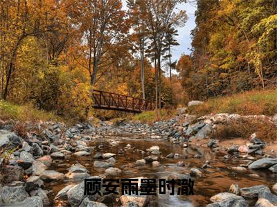 顾安雨墨时澈全文免费阅读无弹窗大结局，墨时澈顾安雨小说精彩免费试读