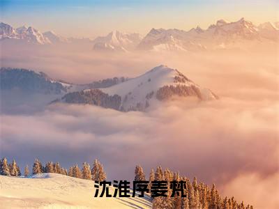 姜梵沈淮序（沈淮序姜梵）全文免费阅读无弹窗大结局_沈淮序姜梵免费最新章节列表_笔趣阁