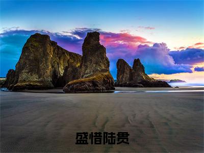 陆贯盛惜全文免费(盛惜陆贯)全集小说完整版大结局-陆贯盛惜全文阅读无弹窗
