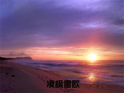 光之力量（ 凌枫雷欧全文在线阅读）-光之力量( 凌枫雷欧)免费阅读（光之力量）
