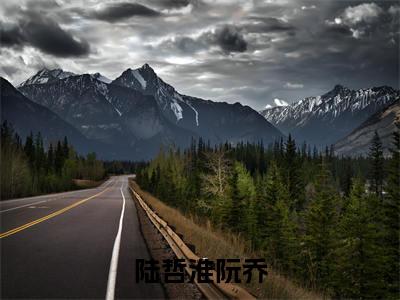阮乔陆哲淮（陆哲淮阮乔）最新热门小说榜单推荐-阮乔陆哲淮最新章节免费阅读
