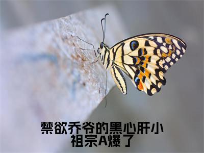 黎清清乔时野（禁欲乔爷的黑心肝小祖宗A爆了）在线阅读小说全文无删减-禁欲乔爷的黑心肝小祖宗A爆了小说大结局