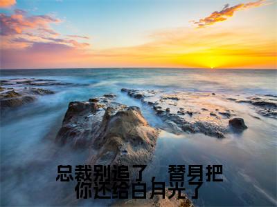 总裁别追了，替身把你还给白月光了（岑溪顾子风小说）全文免费阅读无弹窗大结局_总裁别追了，替身把你还给白月光了小说岑溪顾子风列表_笔趣阁(岑溪顾子风小说）