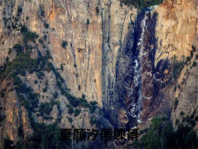 夏颜汐傅嵊景（傅嵊景夏颜汐）全文免费阅读无弹窗大结局-夏颜汐傅嵊景最新章节列表-笔趣阁