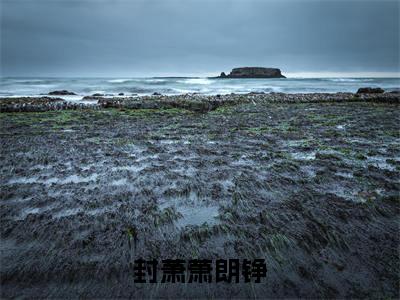朗铮封萧萧（封萧萧朗铮）全文免费阅读无弹窗大结局_（朗铮封萧萧全文免费阅读无弹窗）封萧萧朗铮最新章节列表_笔趣阁（朗铮封萧萧）