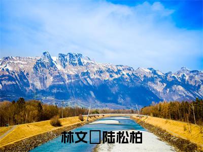 林文珺陆松柏（陆松柏林文珺免费小说）全文免费阅读无弹窗大结局_陆松柏林文珺免费小说最新章节列表_笔趣阁