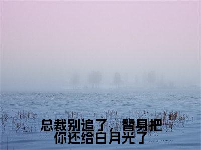 总裁别追了，替身把你还给白月光了（岑溪顾子风）免费小说-岑溪顾子风全文阅读目录
