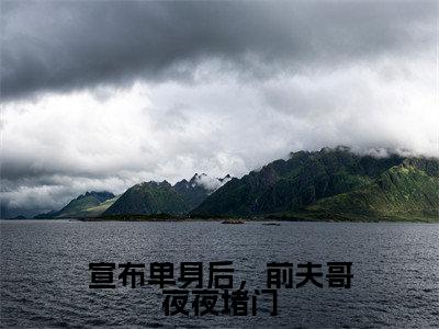 林斯理周豫小说免费阅读-宣布单身后，前夫哥夜夜堵门完整版全文大结局