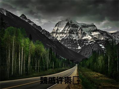 小说魏戚许秦垏(许秦垏魏戚)免费阅读-小说魏戚许秦垏全文在线赏析