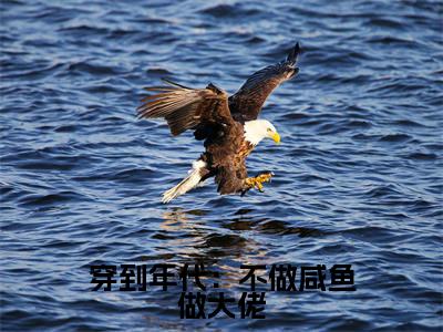 穿到年代：不做咸鱼做大佬沈音小说（沈音）全文在线阅读无弹窗大结局穿到年代：不做咸鱼做大佬