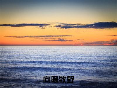 向暖牧野小说全文免费阅读无弹窗大结局-（牧野向暖免费阅读无弹窗）向暖牧野最新章节列表笔趣阁