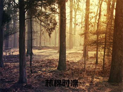 时凛林棉（林棉时凛）全文免费阅读无弹窗大结局_（林棉时凛无弹窗）全文完整版免费阅读