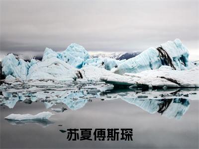 傅斯琛苏夏苏夏傅斯琛小说在哪里可以看 苏夏傅斯琛免费在线阅读