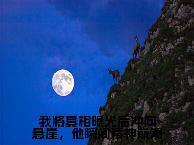 我将真相曝光后冲向悬崖，他瞬间精神崩溃（陆哲淮阮乔）小说全文免费阅读无弹窗大结局_我将真相曝光后冲向悬崖，他瞬间精神崩溃全文在线阅读无弹窗（陆哲淮阮乔）