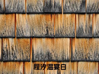温宴白程汐（程汐温宴白）全文免费阅读_程汐温宴白最新章节小说免费阅读_笔趣阁温宴白程汐