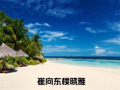 妻子的高升路( 崔向东楼晓雅）小说全文免费读无弹窗大结局_（妻子的高升路小说全文免费阅读）最新章节列表笔趣阁（ 崔向东楼晓雅）