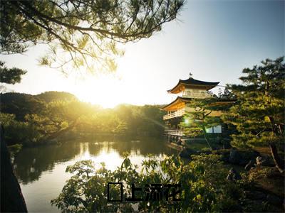 璟上添花（时添添谢承璟）全文免费阅读无弹窗大结局_（璟上添花）已完结全集大结局小说