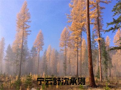 宁云舒沈承则全文免费阅读无弹窗大结局_（沈承则宁云舒）沈承则宁云舒最新章节列表_笔趣阁