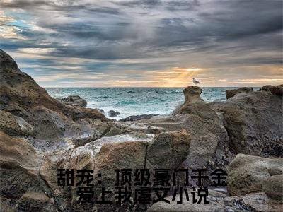 甜宠：顶级豪门千金爱上我全文免费阅读无弹窗大结局- 林风林薇薇无弹窗阅读