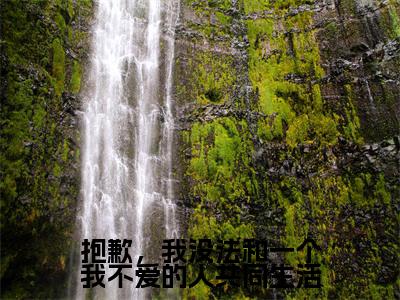 抱歉，我没法和一个我不爱的人共同生活（陆思湉陆红珠魏成风）完结版小说-抱歉，我没法和一个我不爱的人共同生活小说全文免费阅读笔趣阁