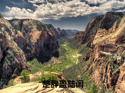 楚辞盈陆闲陆闲楚辞盈免费小说 陆闲楚辞盈全文无弹窗完整版阅读