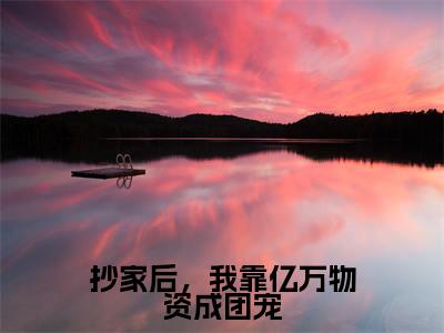 抄家后，我靠亿万物资成团宠全文免费无弹窗大结局_ 阮禾慕云霄免费抄家后，我靠亿万物资成团宠最新章节列表_笔趣阁