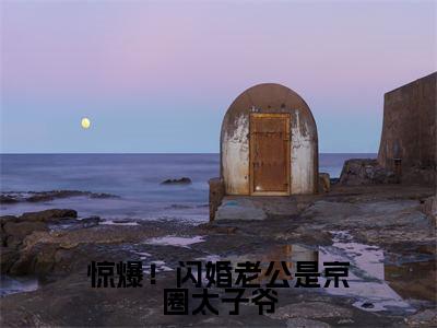 晏轻战晏琛（惊爆！闪婚老公是京圈太子爷）全文免费阅读_惊爆！闪婚老公是京圈太子爷最新章节小说免费阅读_笔趣阁晏轻战晏琛