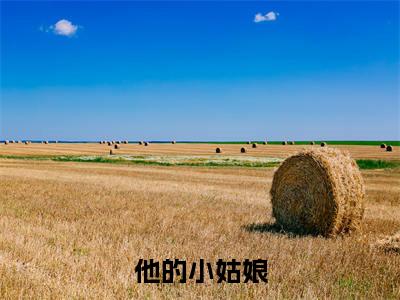 （盛宜满盂承懋）他的小姑娘全文免费阅读无弹窗_（他的小姑娘小说免费阅读）最新章节列表笔趣阁