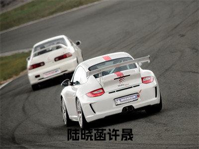 许晟陆晓菡全文免费阅读无弹窗大结局_（陆晓菡许晟阅读无弹窗）陆晓菡许晟最新章节列表_笔趣阁