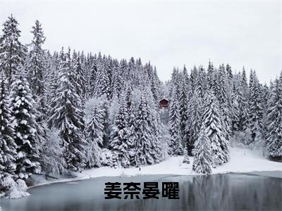 （姜奈晏曜）全文免费阅读无弹窗（姜奈晏曜）晏曜姜奈已完结全集大结局