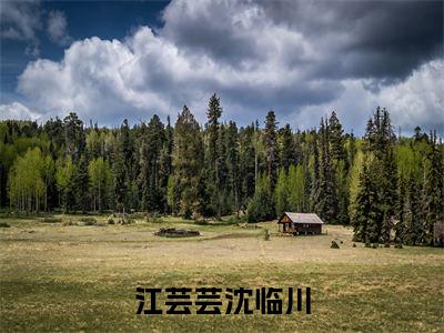 江芸芸沈临川（沈临川江芸芸）全文免费阅读无弹窗完整版，(江芸芸沈临川)免费阅读全文最新章节列表_笔趣阁