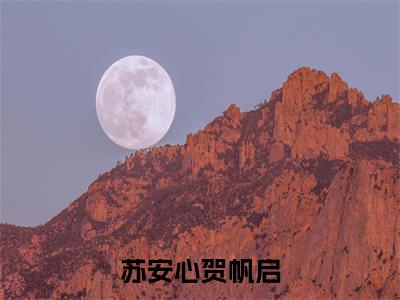 主角是贺帆启苏安心的小说（苏安心贺帆启）-（苏安心贺帆启）贺帆启苏安心全文免费阅读无弹窗大结局笔趣阁