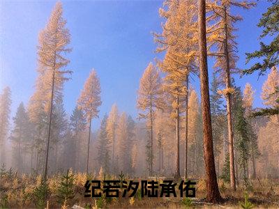 陆承佑纪若汐小说（纪若汐陆承佑）免费阅读-纪若汐陆承佑（陆承佑纪若汐）全章节最新阅读