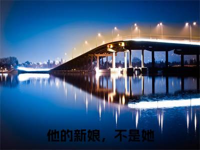 他的新娘，不是她无广告小说（沈希薇宫瑾陌）全文免费阅读无弹窗大结局-他的新娘，不是她在线阅读