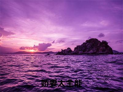 娇妻太全能，总裁追妻不易( 纪辰凌白汐)小说全文免费阅读无弹窗大结局_（ 纪辰凌白汐）娇妻太全能，总裁追妻不易最新章节列表（ 纪辰凌白汐）