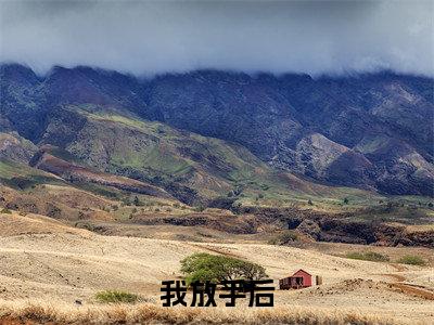 热门小说 许七安江雨寒 全文免费阅读无弹窗大结局-我放手后，你咋开始倒追了文集全文无弹窗免费阅读大结局