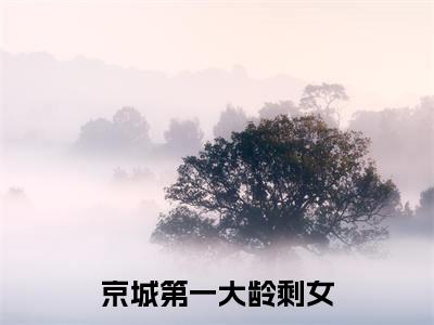 京城第一大龄剩女全文免费阅读_ 阮玉珠褚锦绣（京城第一大龄剩女）小说在线阅读最新章节列表笔趣阁