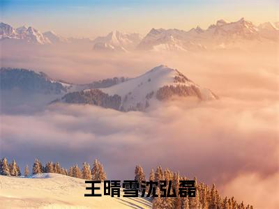 主角叫沈弘磊王晴雪的小说-（王晴雪沈弘磊）沈弘磊王晴雪全文无弹窗完整版阅读